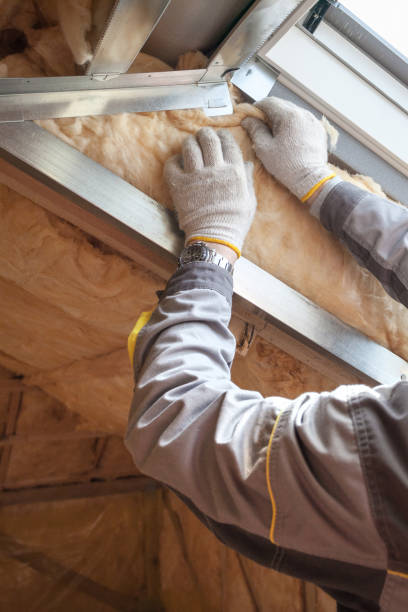 Best Energy Efficiency Insulation in Mexico, IN