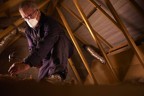Best Insulation for Specific Applications in Mexico, IN